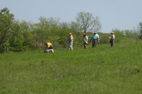Heartland Chapter NAVHDA Spring 2007 Test