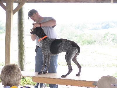 Vetter Clinic 2006