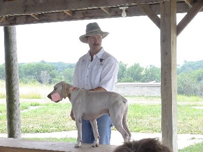 Vetter Clinic 2006