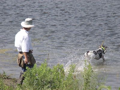 Vetter Clinic 2006